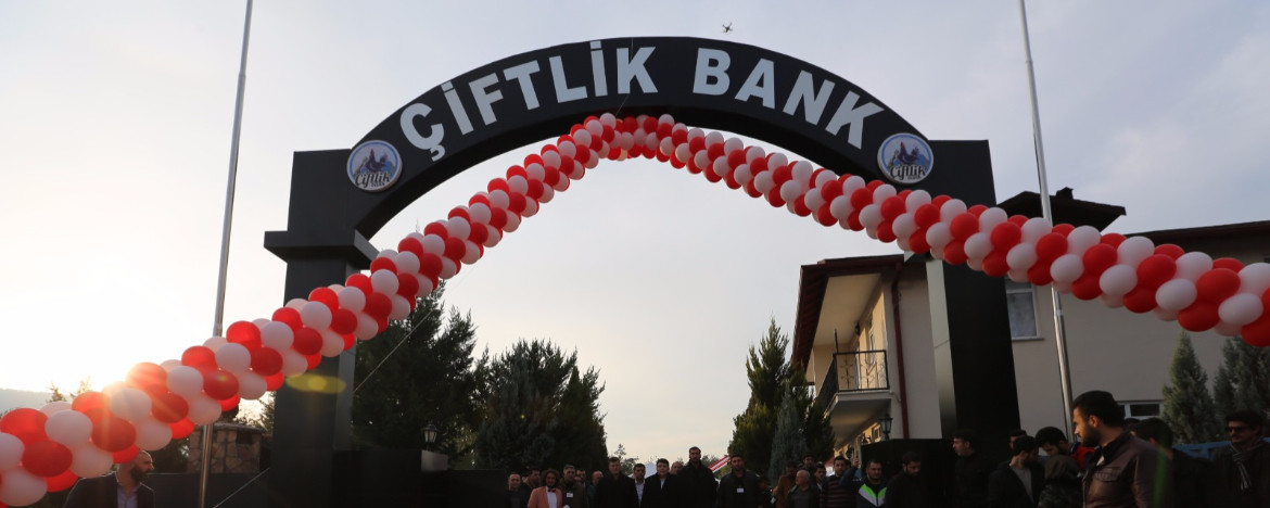Milyonları böyle kandırıyorlar