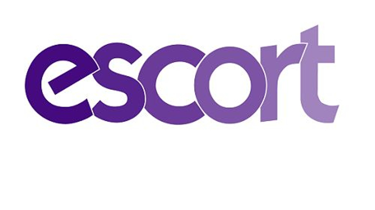 Elegant, Playful Logo Design For Nz Escorts By Anico