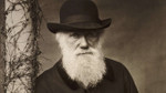 Charles Darwin'in tüm yazışmaları artık çevrimiçi
