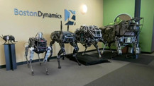 İlhamını doğadan alan 8 robot!