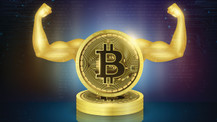 Bitcoin, ayı piyasasında en dirençli kripto para ilan edildi!