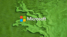 Microsoft'un kurtarıcısı yosunlar: Şirket yosunlarla ortak çalışacak!