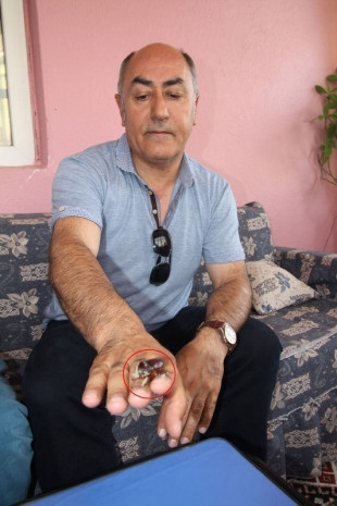 Dünyanın en pahalı ve en güçlü böceği o ilde çıktı! - Resim: 1