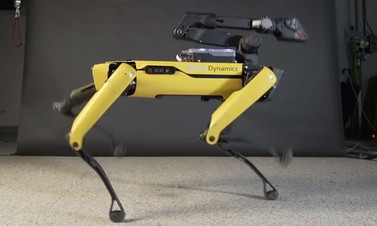 Robot Spot Mini dans ediyor!