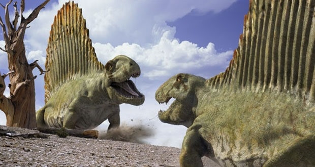 Torunları hala yaşayan dinozorlar - Resim: 1