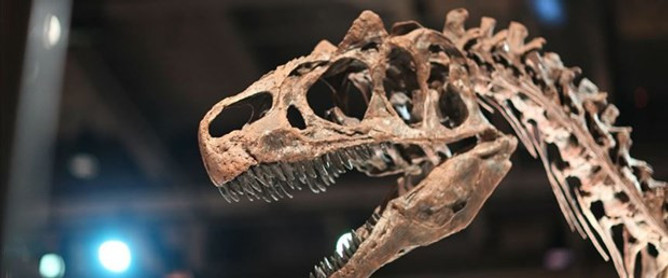 Tayland'da iki yeni dinozor türü keşfedildi - Resim : 1