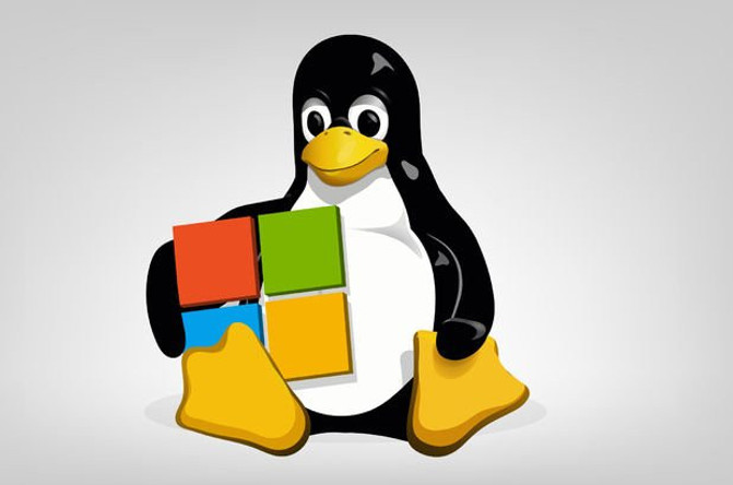 Microsoft kendi Linux sürümünü dağıtacak! - Resim : 1