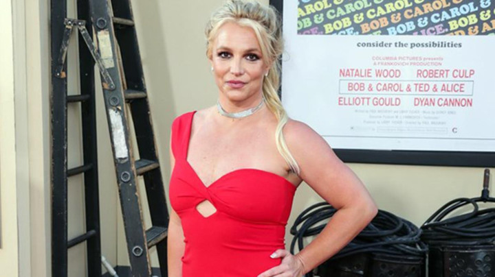 Ünlü şarkıcı Britney Spears'ın hayranlarını üzecek haber - Resim : 1