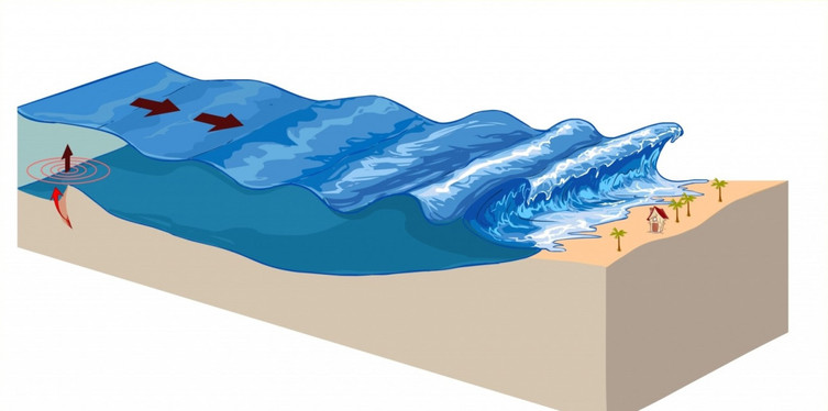 Tsunami nedir? Neden ve nasıl oluşur?