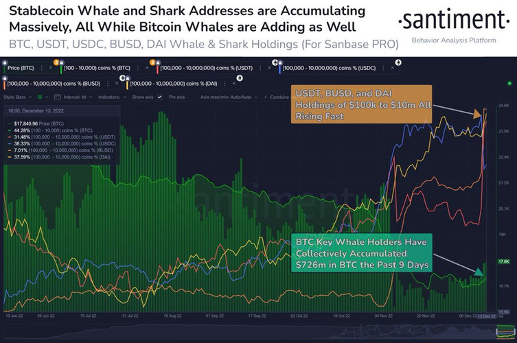 Kipto balinaları büyük ölçüde Bitcoin'i stokluyor! Bu ne anlama geliyor? - Resim : 1