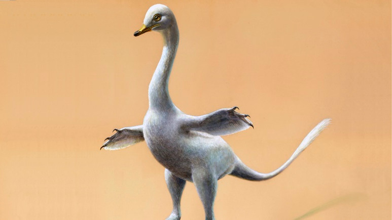 Moğolistan'da yeni dinozor türü keşfedildi!