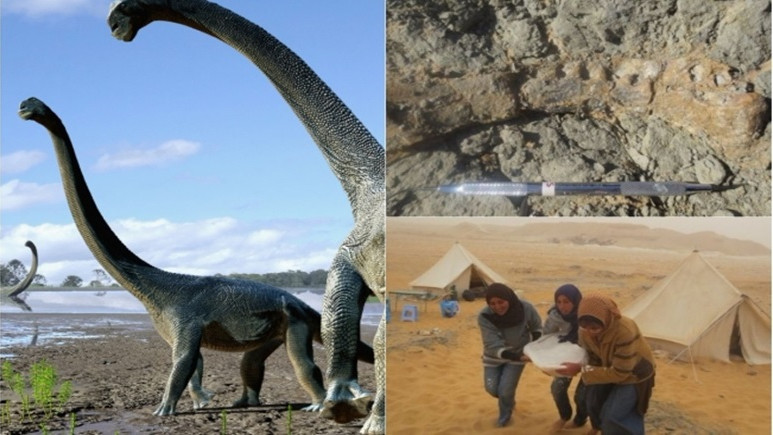 Afrika'da yeni bir tür dinozor bulundu!
