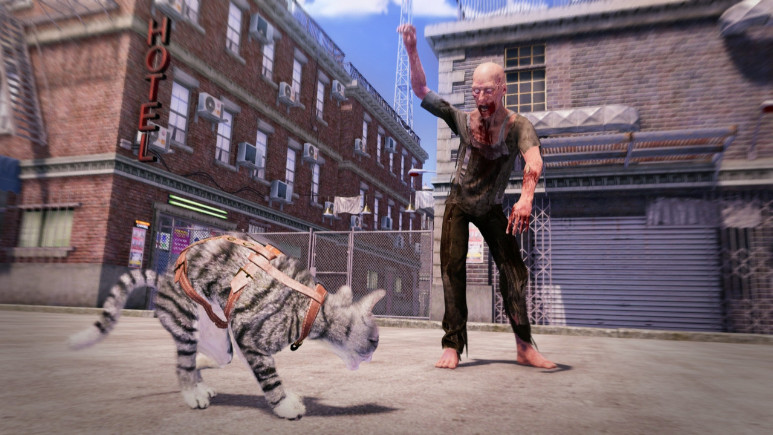 Kedi simülatörü Max and Maya duyuruldu!