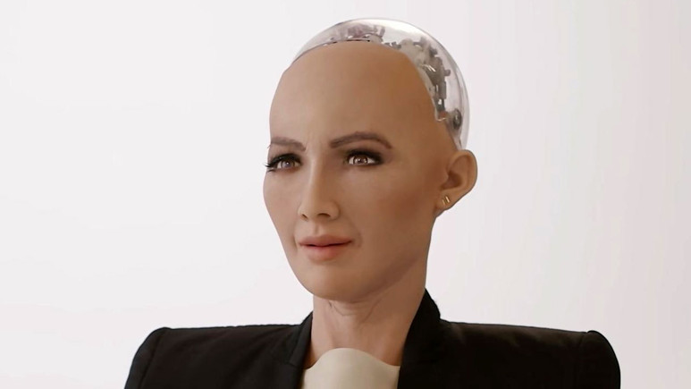 Sophia'nın parçaları kayboldu!