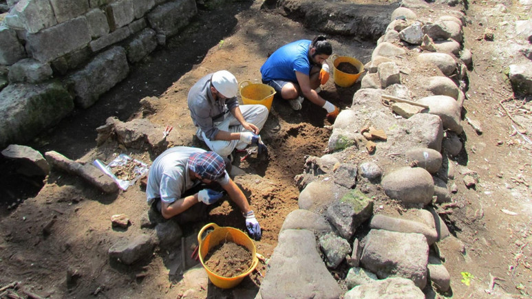 Pompei'de taşlaşmış at kalıntıları bulundu!