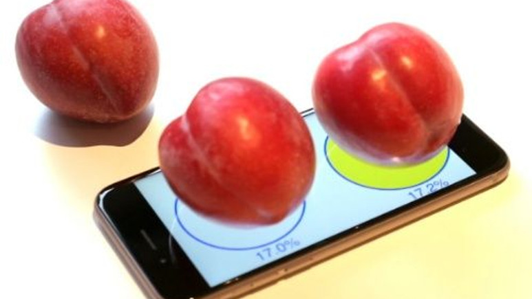Apple iPhone 6S'i elektronik tartı olarak kullanabilirsiniz! Video