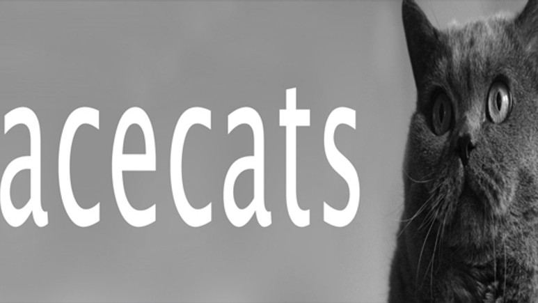 Facebook'a kedi eklentisi!