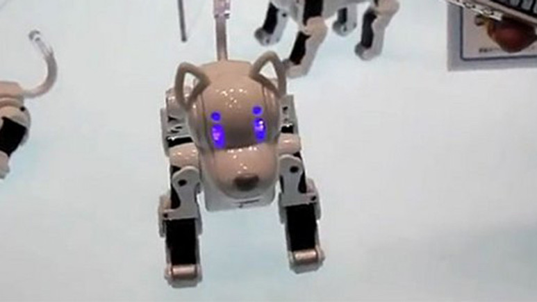 İşte robot köpek i-SODOG
