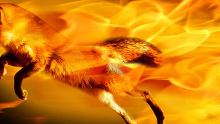 Firefox OS bomba gibi geliyor!