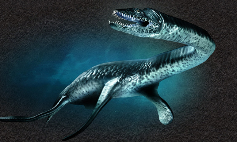 Loch Ness canavarının DNA'sı aranıyor!