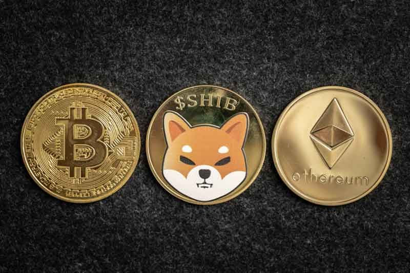 Kripto para doktoru tarih verdi! SHIB 3X yapacak! - Resim: 1