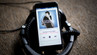Apple Music beklenen özelliğe kavuştu!