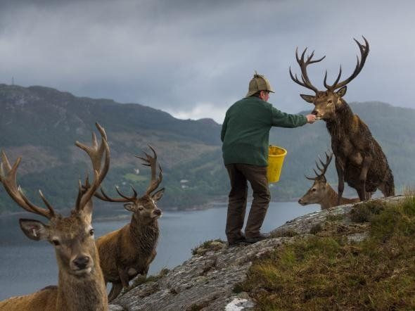 National Geographic, 2017'nin fotoğraflarını belirledi - Page 2