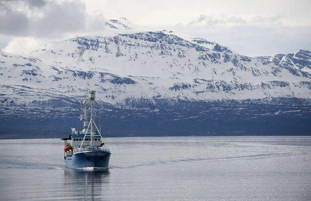 Ölmenin yasak olduğu Longyearbyen kasabası - Page 3