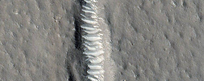 Mars'ta kış çok farklı geçiyor! - Page 2