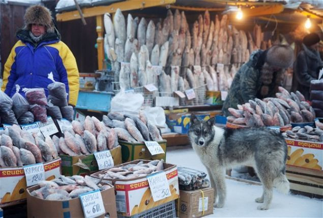 Eksi 64 derecede yaşayan Yakutsk kenti sakinleri - Page 1
