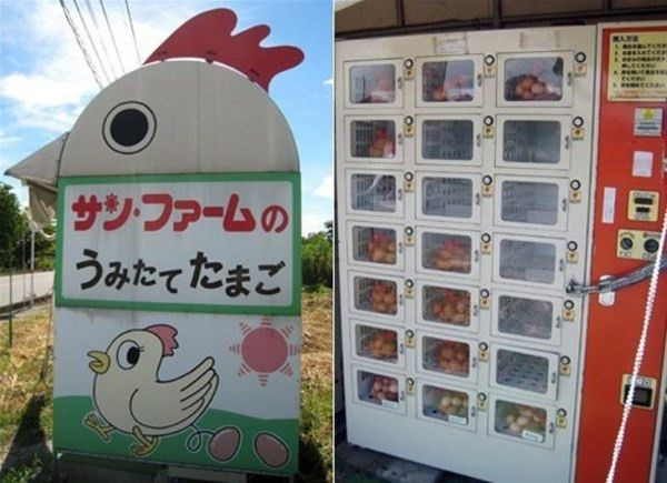 İlginç icatlar, alışılmamış yiyecekler ve yaşam tarzlarıyla Japonya - Page 3