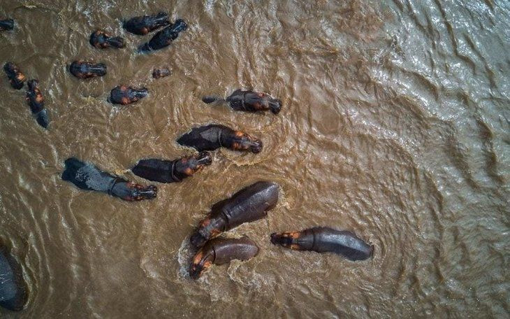 İşte geride bıraktığımız 2017'nin en iyi drone fotoğrafları - Page 4