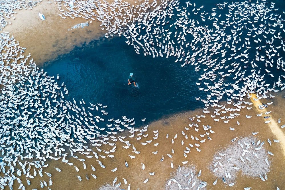 2018'in yeni drone fotoğrafları - Page 4