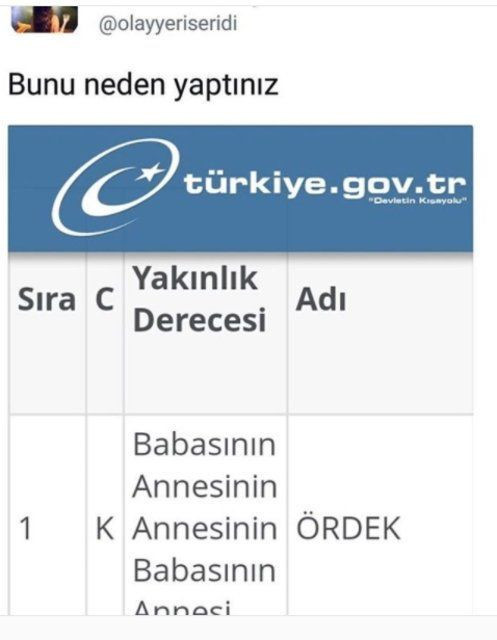 Soyağacı sorgulamasında rastlanan ilginç isimler! - Page 4