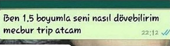 Mizahın yeni adresi sosyal medya - Page 2