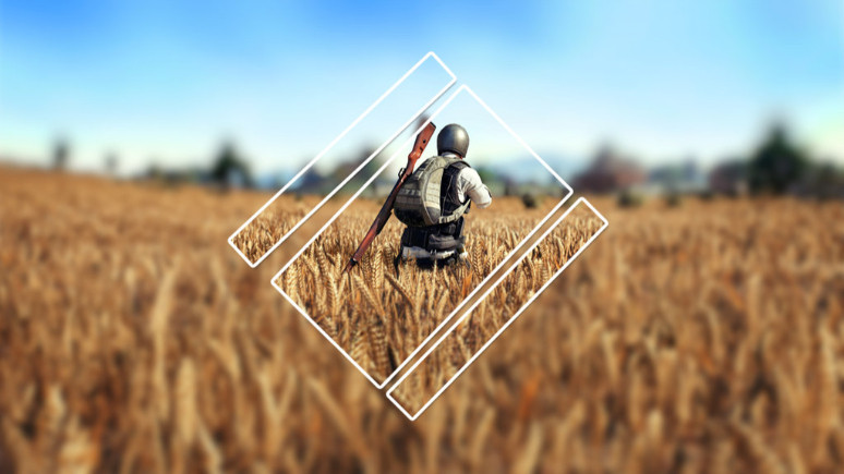 PUBG en 20 yıl daha desteklenecek!