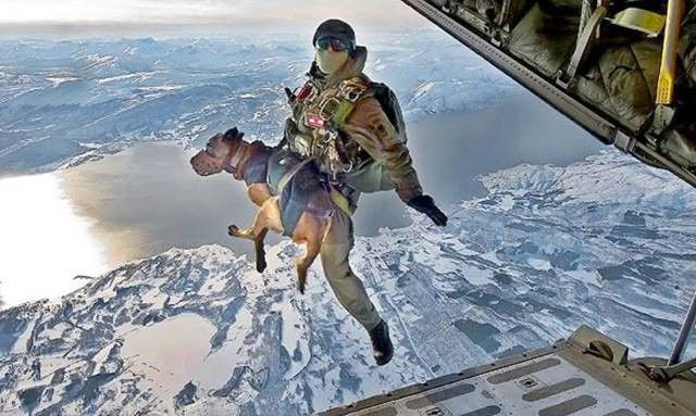 Günün en çok paylaşılan fotoğrafları -16 Temmuz 2018 - Page 1