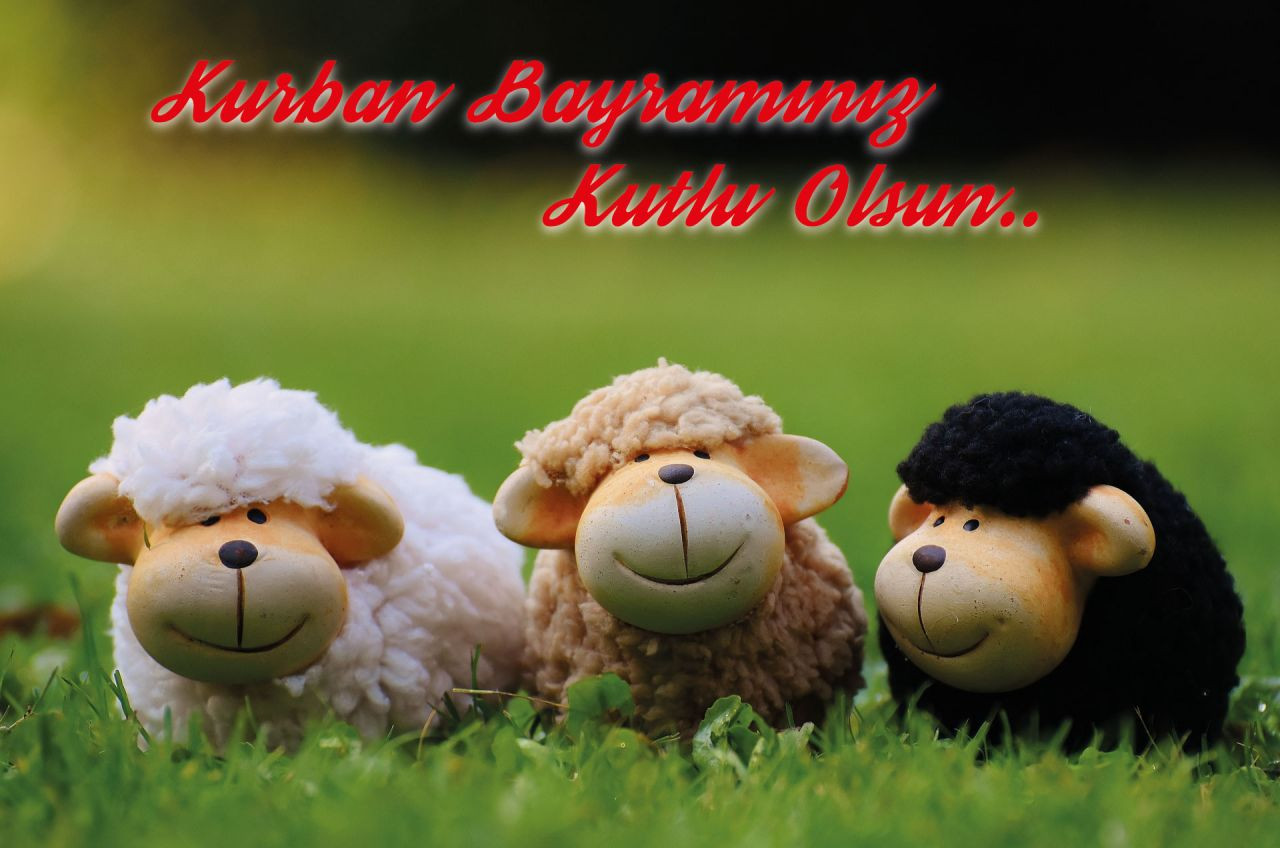 Kurban bayramı mesajları 2019 kısa Kurban bayramı mesajları 2019 kısa