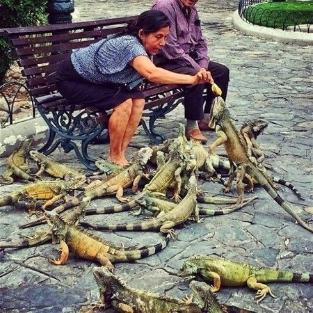 Günün en çok paylaşılan fotoğrafları - 29 Ağustos 2018 - Page 2