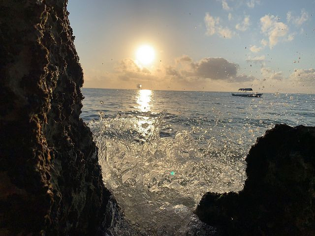 iPhone Xs ile çekilmiş fotoğraflar! - Page 1