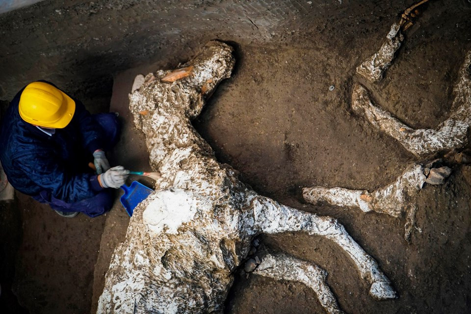 Pompeiide taşlaşmış at kalıntıları bulundu 5