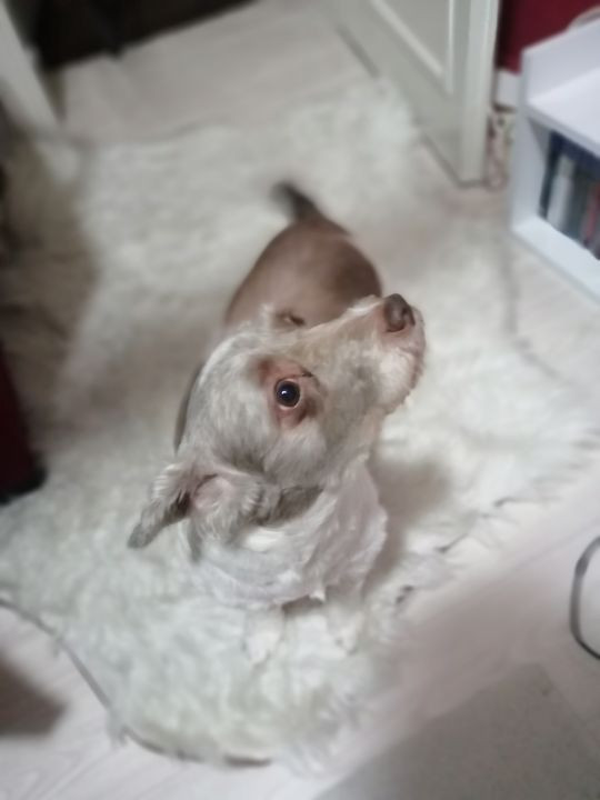 Huawei P smart 2019 ile çektiğimiz fotoğraflar! - Page 3