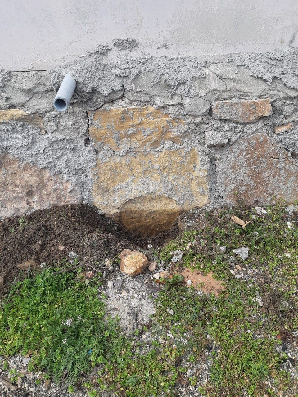 Adıyaman'da 65 milyon yıllık fosil rezilliği! - Page 3