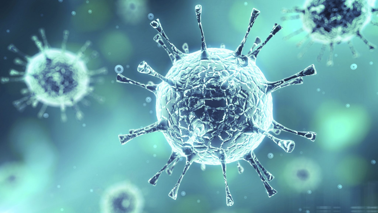 virus-afSU_cover.jpg
