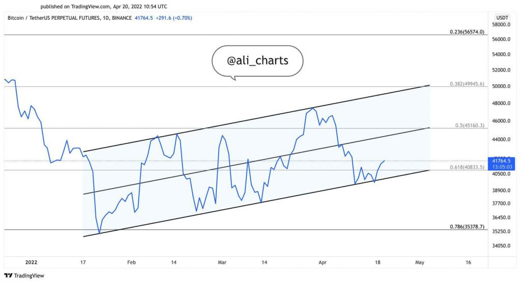 ali-btc-50k-1024x557-3rvC.jpg