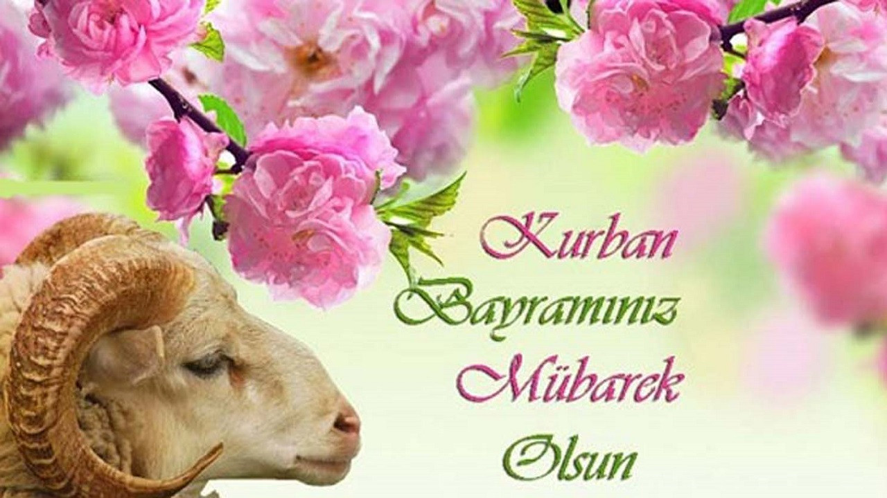 1047499-zfRQ_cover.jpg