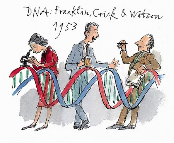 DNA hakkında 11 ilginç bilgi - Page 2