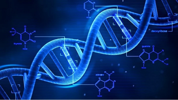 DNA hakkında 11 ilginç bilgi - Page 3