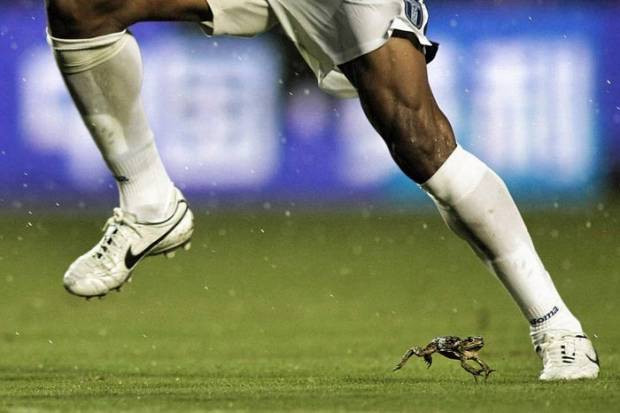 2011'e damgasını vuran, unutulmaz muhteşem fotoğraflar! - Page 4