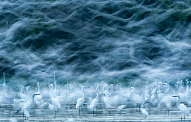 2013 yılının en güzel fotoğrafları! - Page 3